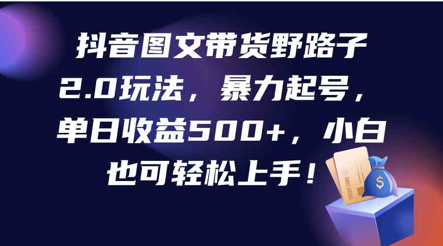 （9790期）抖音图文带货野路子2.0玩法，暴力起号，单日收益500+，小白也可轻松上手！-源小星资源网