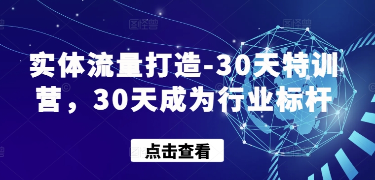 实体流量打造-30天特训营，30天成为行业标杆-源小星资源网