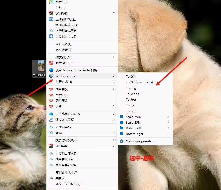 图片[1]-便携式格式转换工具-FileConverter - 源小星资源网-游戏源码网-源小星资源网-游戏源码网