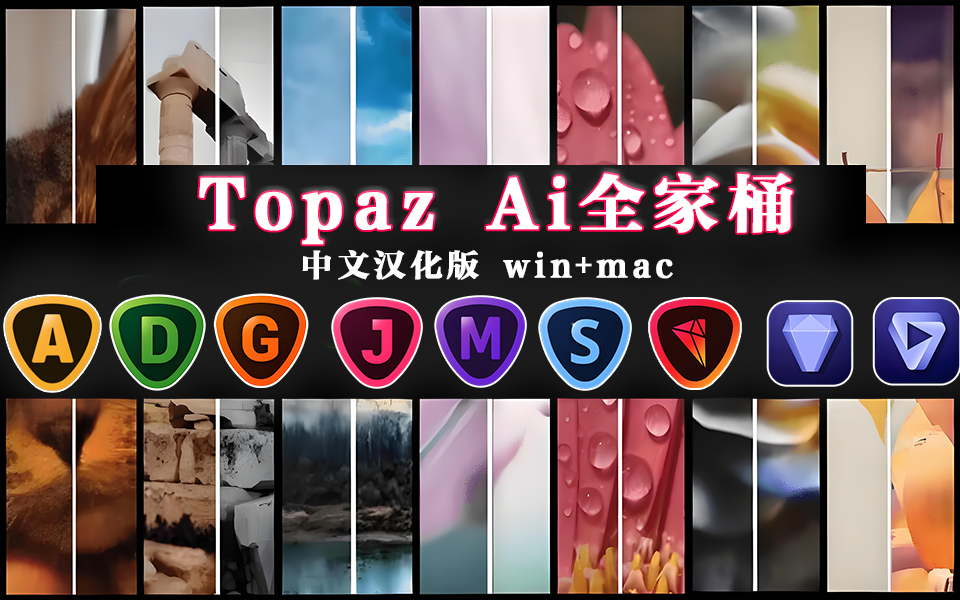 Topaz Ai全家桶-中文汉化版-Win+Mac-含大量Ai模型！-源小星资源网
