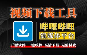 视频下载神器【MediaGo】一键嗅探全网视频-源小星资源网-游戏源码网